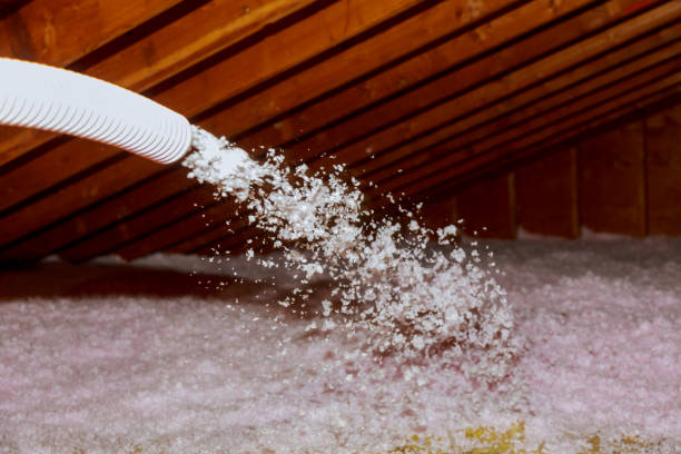 Best Specialty Insulation in Belvedere, SC