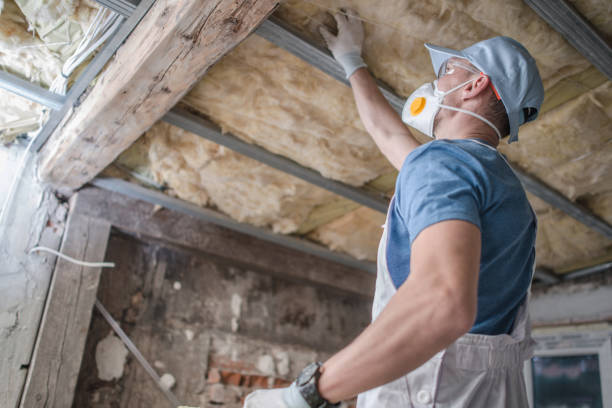 Professional Insulation Contractor in SC